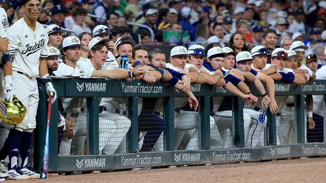 COLLEGE BASEBALL: APR 21 Georgia Tech vs Georgia 
