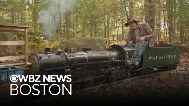 Where you can find a hidden miniature steam railroad in Massachusetts