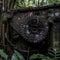 Suspected WWII bomb explodes in Indonesia, killing 5 people