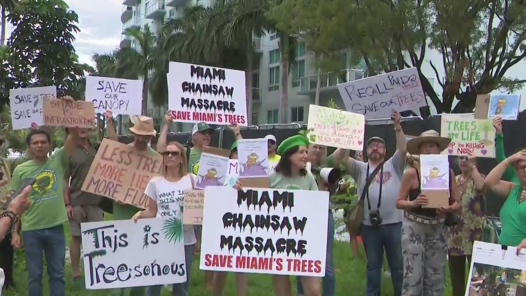 Miami residents rally in effort to prevent developers from removing city trees