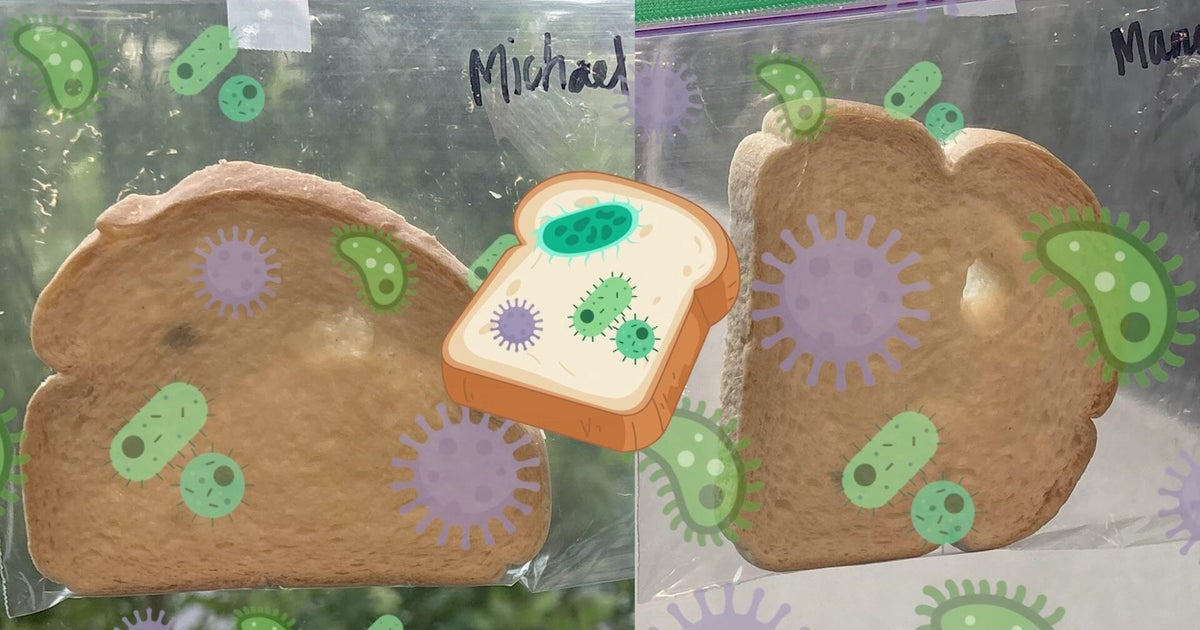 Learning about food safety .. Just for Kids!