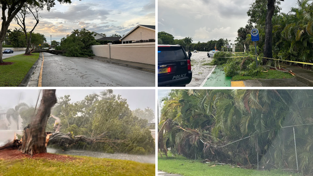 doral-storm-damage.png 