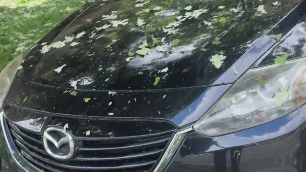 car-hail-damage-june-1-2026.png 