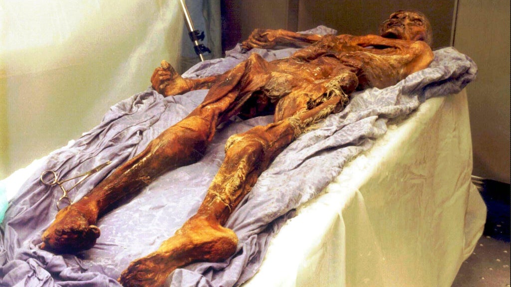 Scientists find yeast in frozen mummy's guts, use it to make sourdough bread