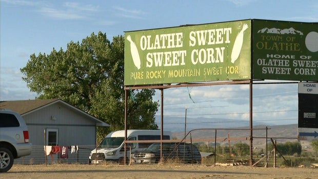 farm.jpg 