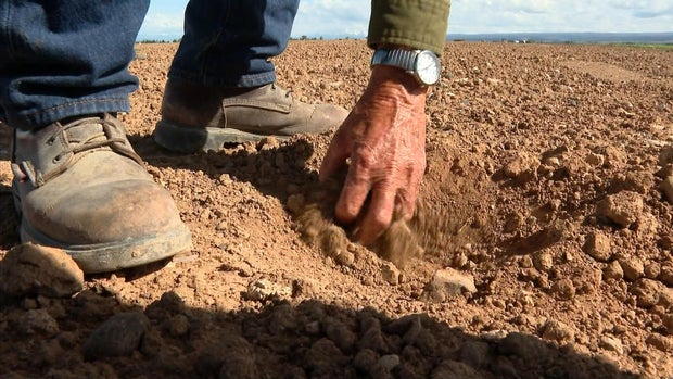 ground.jpg 