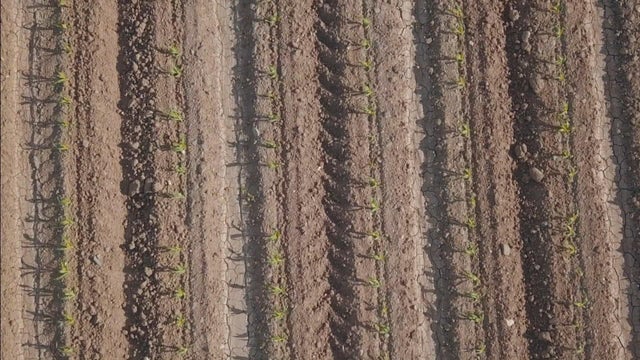ground3.jpg 
