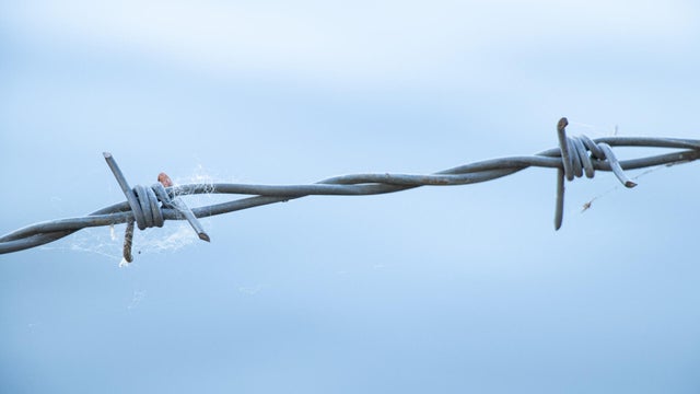 Barbed wire against the sky close-up 
