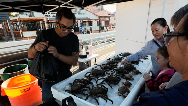 fishmarket.jpg 