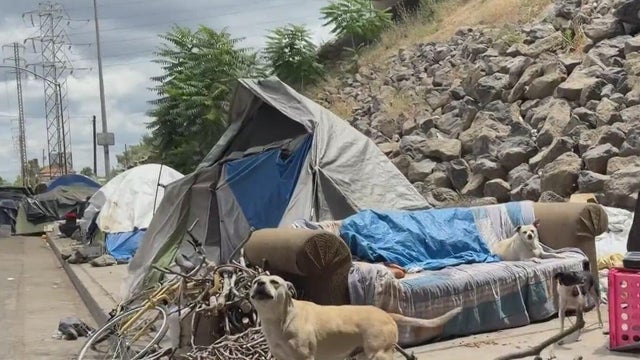 A dog near a tent that is set up on a sidewalk 