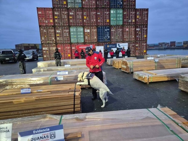 sniffer-dog-1-baja.jpg 