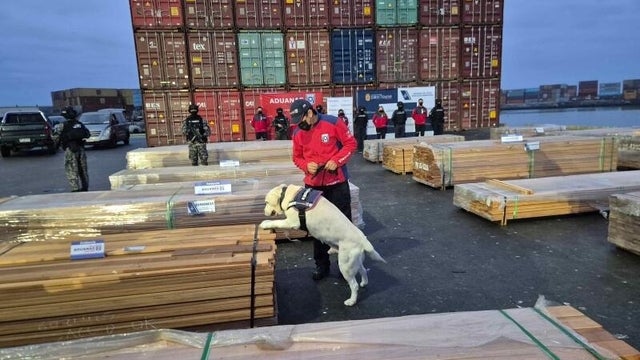 sniffer-dog-1-baja.jpg 