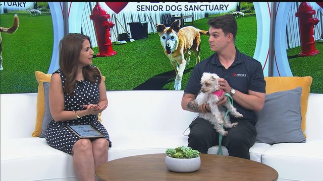 4p-kcnc-newscast-tuesday-frame-50741.jpg 