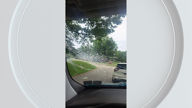 elizabethtwpwindshield.png 