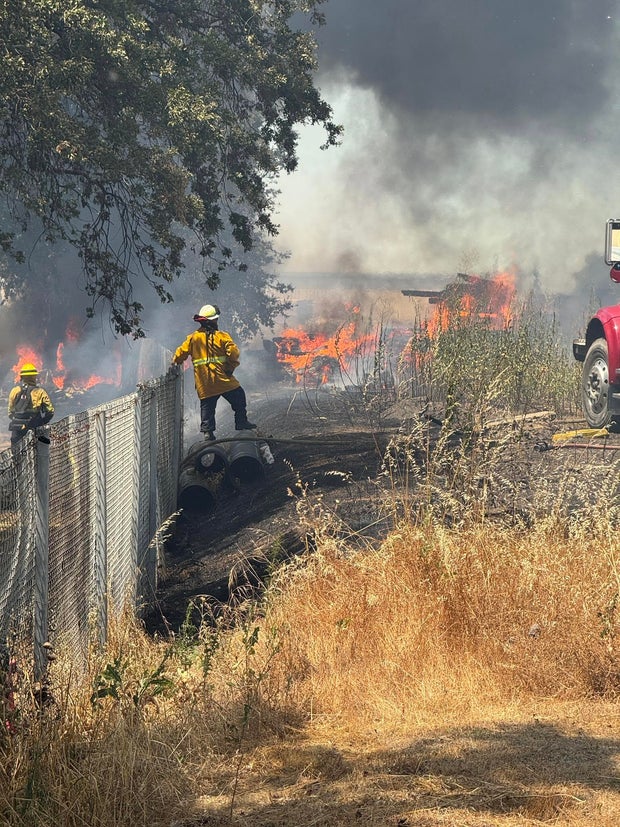 woodland grass fire 