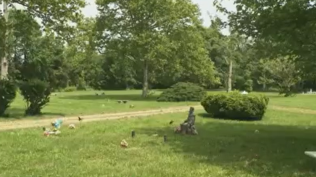 pet-cemetary.png 