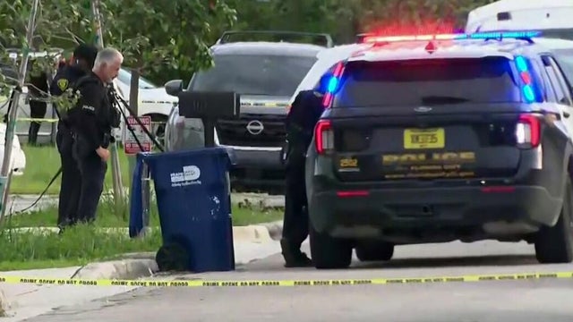 Crime scene police lights 