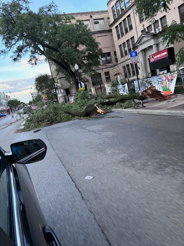 leo-high-school-trees-down.jpg