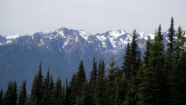 Olympic Mountains 