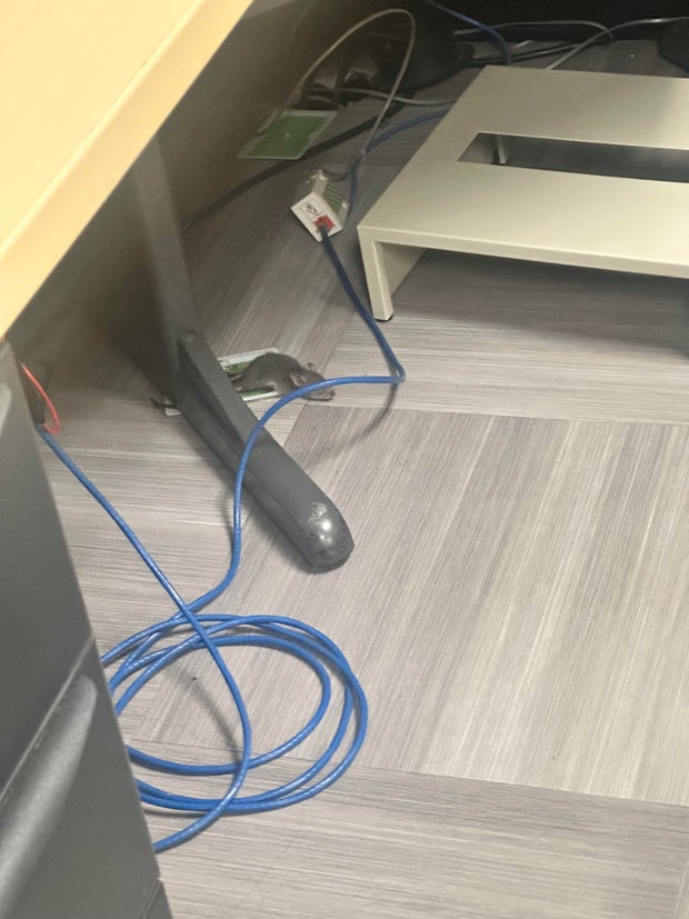 image-from-ios-1.jpg 