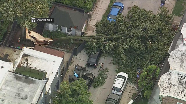 philadelphia-storm-damage-mount-airy.jpg 
