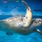 "Spy turtles" and "spy fish" prowling China's waters, Beijing claims
