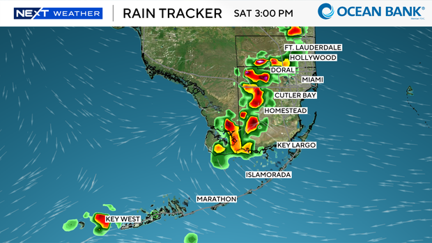 scottie-hrrr.png