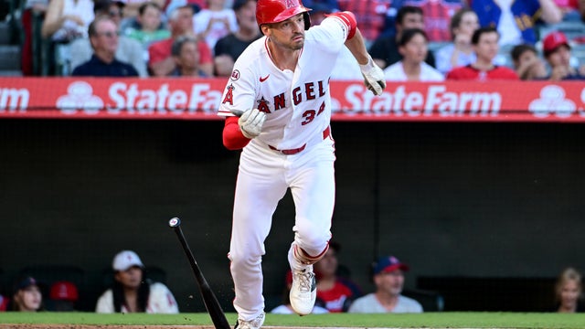 Rays Angels Baseball 