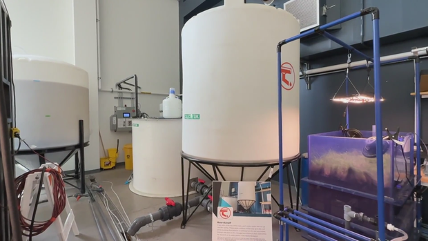 colorado-rainwater-pilot-program-3.png