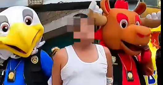 Police dress up as World Cup mascots to carry out drug sting