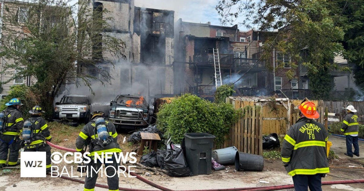 Multiple pets rescued from home fire in Baltimore's Reservoir Hill