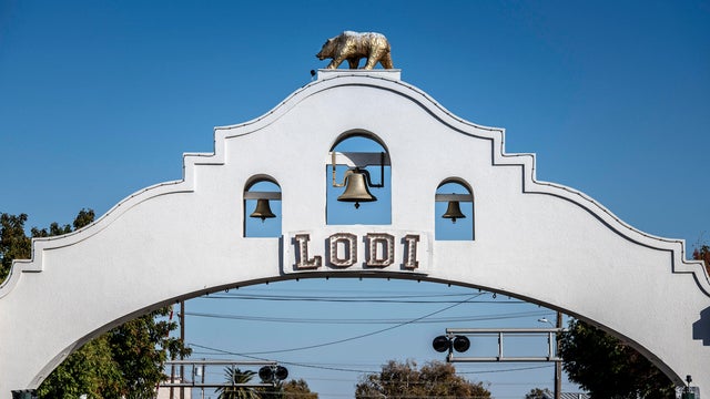 Crane Migration, Lodi, California 