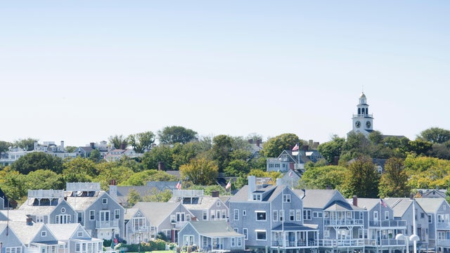 Blue houses and tree on Nantucket Island 
