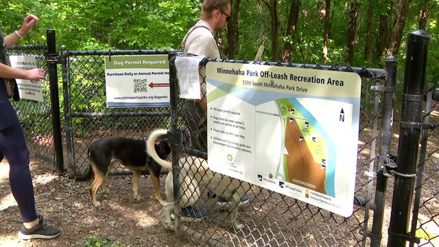 10p-pkg-dog-park-pushback-wccoaoek-00-00-1104.jpg 