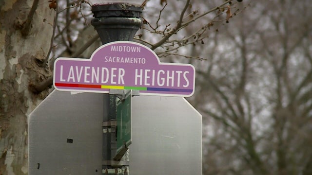 5a-sotvo-tz-s-lavender-kmaxfpvc.jpg 
