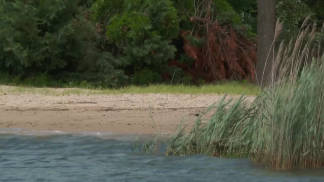 High Bacteria Levels at 2 Anne Arundel County beaches 