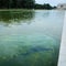 Rips appear in Reflecting Pool's new sealant after algae turn water green