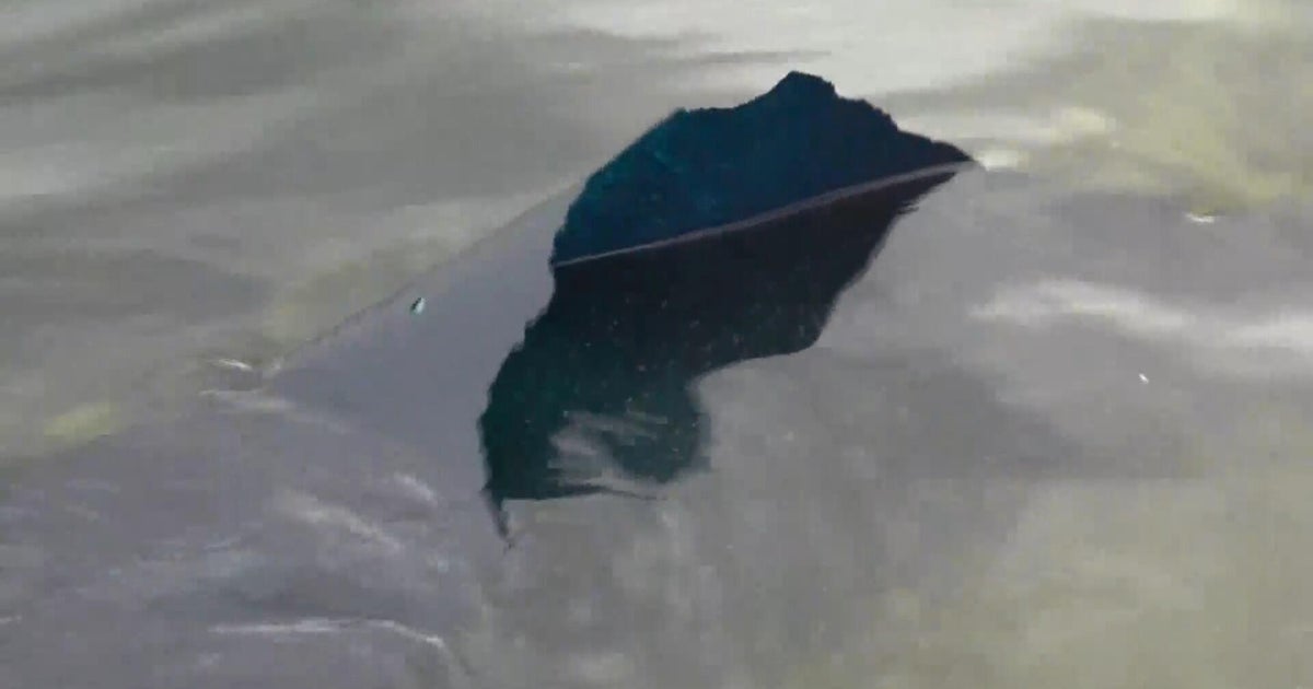 Paint peeling in Reflecting Pool after multimillion-dollar makeover