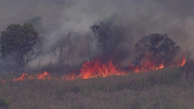 cbsmiami-miami-wildfire-friday-1.jpg 