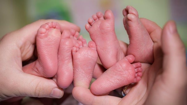 gettyimages-540098926.jpg 