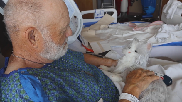 uchealth-robotic-pets-video-frame-544.png 