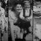 6/21/2026: Youngest Survivors; What Happened to the Great White Sharks?