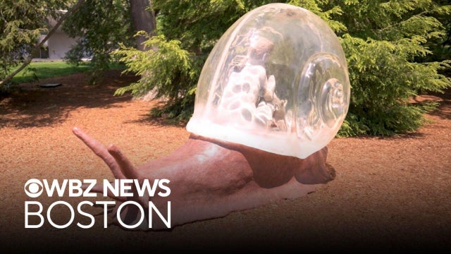 Massachusetts sculpture park offers unique walk through nature