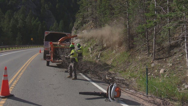 highway-tree-clearing-pkg-frame-739.jpg 