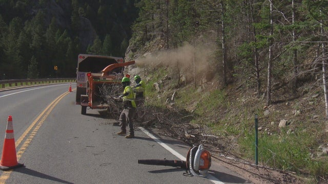 highway-tree-clearing-pkg-frame-739.jpg 