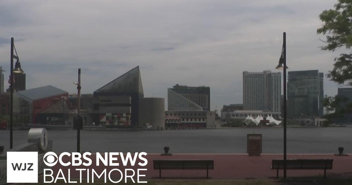Sail250 in Baltimore to highlight veteran-owned businesses and organizations