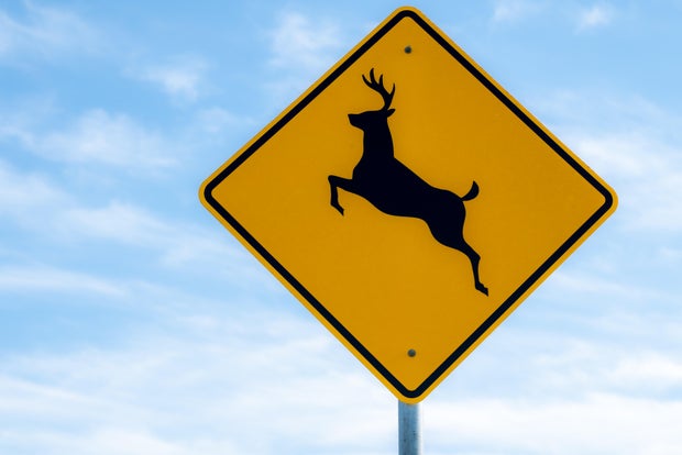 Yellow Deer crossing sign with blue sky background