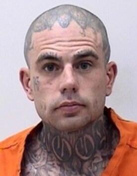 tortoise-theft-cropped-justin-edwards-arrested-from-colo-sprgs-pd-tweet.jpg 