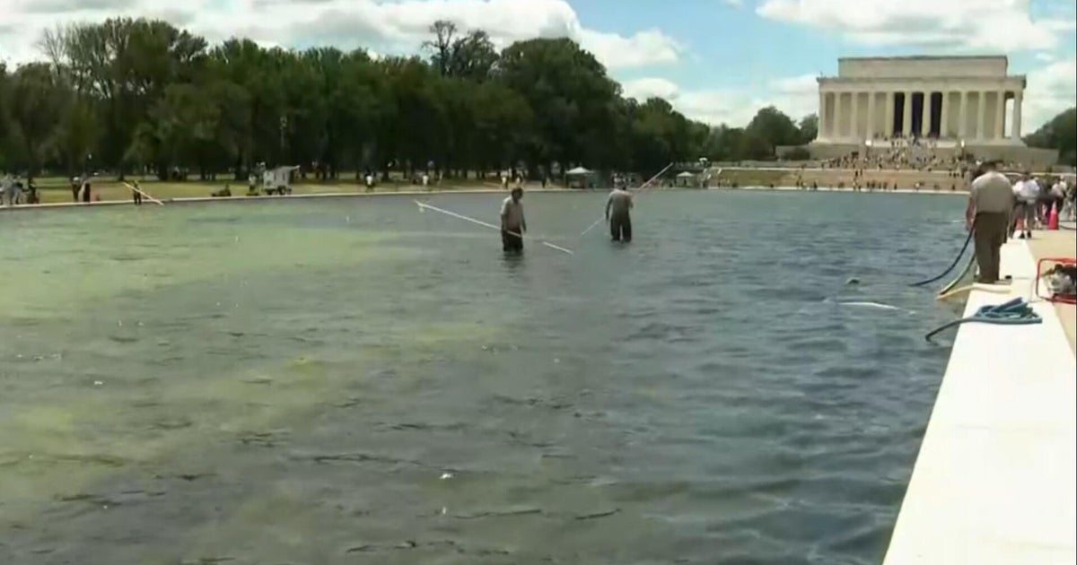 Trump alleges vandals are responsible for ongoing problems at Reflecting Pool