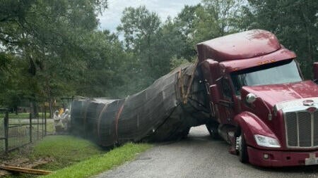 Beehives Truck Crash 